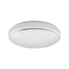 Белый потолочный светильник с датчиком движения STRÜHM pedro led sl 15w 4000k, 210 x 120 x 45 мм цена и информация | Потолочные светильники | pigu.lt