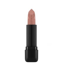 Lūpų dažai Catrice Scandalous Matte Lipstick 010 Plain Truth, 3,5 g цена и информация | Помады, бальзамы, блеск для губ | pigu.lt