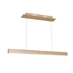 Pakabinamas šviestuvas Milagro TIMBER 18W LED kaina ir informacija | Pakabinami šviestuvai | pigu.lt