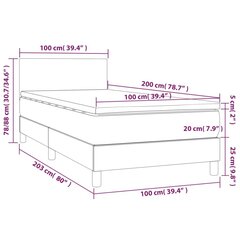 Lova su spyruoklėmis/čiužiniu/LED, pilka 100x200cm dirbtinė oda kaina ir informacija | Lovos | pigu.lt