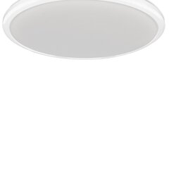 Milagro потолочный LED светильник Terma White 18 W цена и информация | Потолочные светильники | pigu.lt