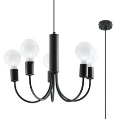 Chandelier PICCOLO 5 black CRIMSON SL.0855 цена и информация | Люстры | pigu.lt