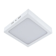 Martin led d baltas 24w 4000k lubinis smd led šviestuvas Struhm 35 x 300 x 300 mm kaina ir informacija | Įmontuojami šviestuvai, LED panelės | pigu.lt