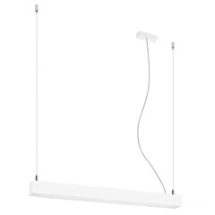 Pendant lamp PINNE 117 white THORO TH.065 цена и информация | Люстры | pigu.lt