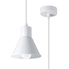 Pendant lamp TALEJA 3 black [ES111] CRIMSON SL.0990 цена и информация | Люстры | pigu.lt