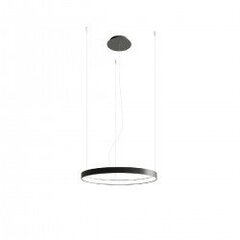 Chandelier RIO 3 55/78/110 black 3000K THORO TH.138 цена и информация | Люстры | pigu.lt