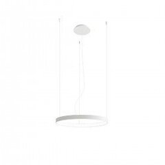 Chandelier RIO 3 55/78/110 black 3000K THORO TH.138 цена и информация | Люстры | pigu.lt