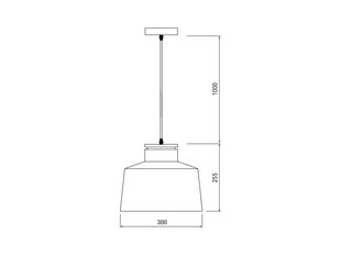 Pakabinamas šviestuvas MARGUS, 30 cm, white 3086 kaina ir informacija | Pakabinami šviestuvai | pigu.lt