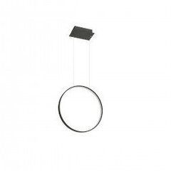 Pendant lamp RIO 78 black 4000K THORO TH.120 цена и информация | Люстры | pigu.lt