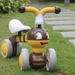 Балансирующий мини-велосипед Bee Ecotoys цена и информация | Балансировочные велосипеды | pigu.lt