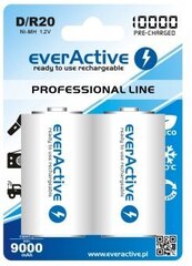 everActive Professional Line įkraunami elementai HR20, 2 vnt. kaina ir informacija | Elementai | pigu.lt