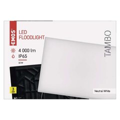 LED prožektorius TAMBO 50W(430W) 4000 lm NW kaina ir informacija | Lauko šviestuvai | pigu.lt