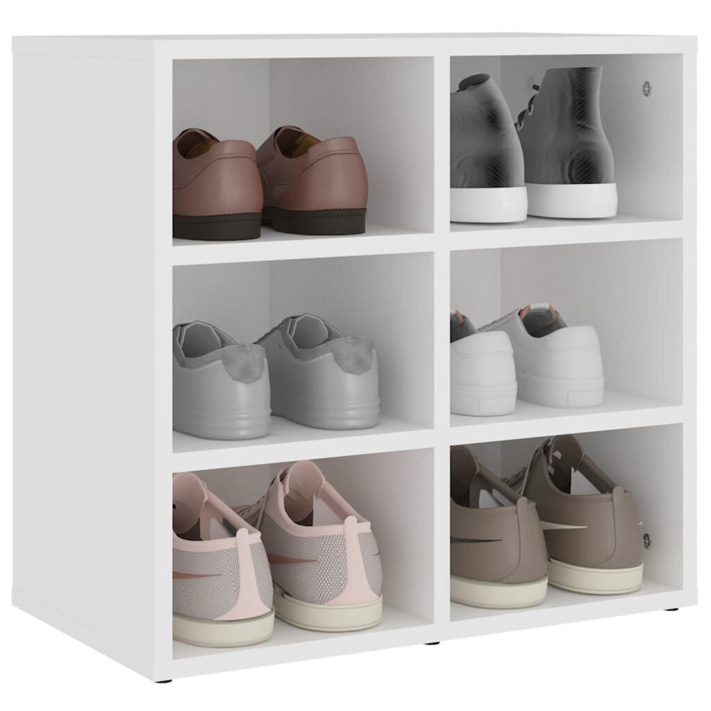 Spintelės batams, 2vnt., baltos spalvos, 52,5x30x50cm цена и информация | Svetainės spintelės | pigu.lt