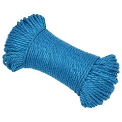 Mėlyna darbo virvė, 3mm, 250m kaina ir informacija | Sodo įrankiai | pigu.lt