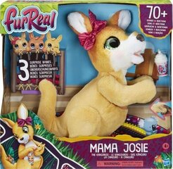 Interaktyvi žaislinė kengūra Hasbro FurReal kaina ir informacija | Minkšti (pliušiniai) žaislai | pigu.lt