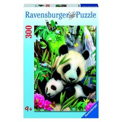 Dėlionė Ravensburger Pandos, 300 d. kaina ir informacija | Dėlionės (puzzle) | pigu.lt