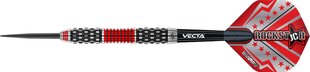 Strėlytės Winmau Joe Cullen Rockstar Series RS 1.0, 24 g., įvairių spalvų. kaina ir informacija | Smiginis | pigu.lt