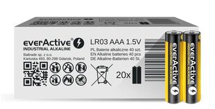 everActive EVLR03S2IK kaina ir informacija | Akumuliatoriai vaizdo kameroms | pigu.lt