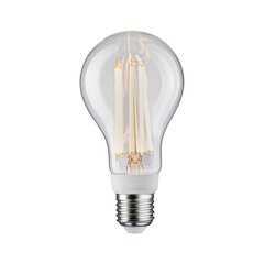 LED lemputė Paulmann 28817 E27, 1 vnt. цена и информация | Светодиодные ленты | pigu.lt