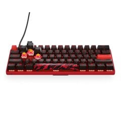 SteelSeries Apex 9 Mini Faze Clan Edition, US цена и информация | Клавиатуры | pigu.lt