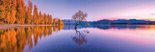 Dėlionė Clementoni High Quality Collection Panorama Lake Wanaka Tree, 39608, 1000 d. kaina ir informacija | Dėlionės (puzzle) | pigu.lt