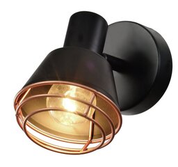 Candellux Neria sieninis šviestuvas 91-81384 kaina ir informacija | Sieniniai šviestuvai | pigu.lt