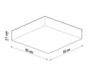 Sollux lubinis šviestuvas Horus, baltas, 55 cm kaina ir informacija | Lubiniai šviestuvai | pigu.lt