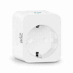 Išmanusis lizdas Wiz Smart Plug kaina ir informacija | Elektros jungikliai, rozetės | pigu.lt