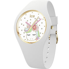 Часы Ice Watch 016721 цена и информация | Женские часы | pigu.lt