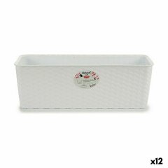 Vazonas Stefanplast Natural, 48,5x16x18 cm, 12 vnt. kaina ir informacija | Vazonai | pigu.lt