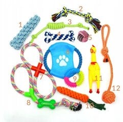 Šunų žaislų rinkinys BestHurt, 12 d. kaina ir informacija | Žaislai šunims | pigu.lt