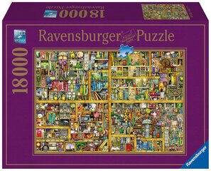 Dėlionė Magiška biblioteka Ravensburger, 18 000 d. kaina ir informacija | Dėlionės (puzzle) | pigu.lt