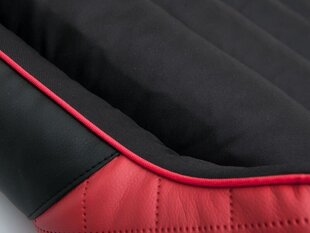 Hobbydog guolis Cesarean Standart, raudonas/juodas R2, 84x65 cm kaina ir informacija | Guoliai, pagalvėlės | pigu.lt