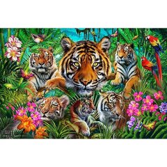 Dėlionė Educa Tiger jungle, 500 d. kaina ir informacija | Dėlionės (puzzle) | pigu.lt