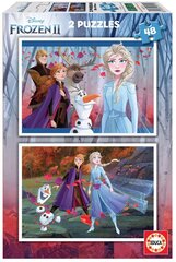 Dėlionė Frozen, 2 vnt. x 48 detalių kaina ir informacija | Dėlionės (puzzle) | pigu.lt