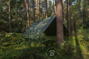 Kamufliažinis lauko tentas Bradas CAMOforest 5x6 m, 90 g/m² kaina ir informacija | Sodo įrankiai | pigu.lt