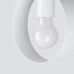 Sollux pakabinamas šviestuvas Titran 1 kaina ir informacija | Pakabinami šviestuvai | pigu.lt
