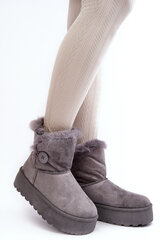 Moterų platforminiai sniego batai su dirbtiniais kailiais Pilka Wikas 28412-21 kaina ir informacija | Aulinukai, ilgaauliai batai moterims | pigu.lt