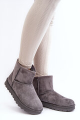 Women's Suede Snow Boots Padded Grey Nanga 28424-21 цена и информация | Женские сапоги | pigu.lt