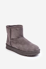 Women's Suede Snow Boots Padded Grey Nanga 28424-21 цена и информация | Женские сапоги | pigu.lt