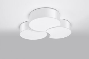 Lubinis šviestuvas Circle 3B цена и информация | Потолочные светильники | pigu.lt