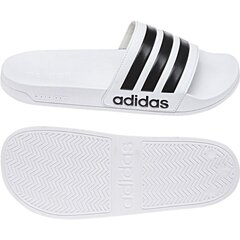 Paplūdimio šlepetės, Adidas Adilette Shower AQ1702 kaina ir informacija | Vandens batai | pigu.lt