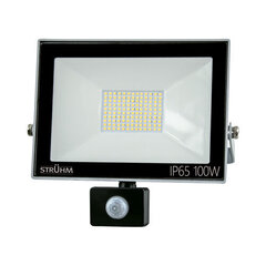 Серый 4500k светодиодный прожектор smd с датчиком движения STRÜHM kroma led s 100w, 247 x 269 x 64 мм цена и информация | Уличные светильники | pigu.lt