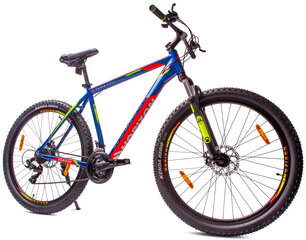 Kalnų dviratis MTB Shimano 29", mėlynas kaina ir informacija | Dviračiai | pigu.lt