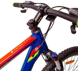 Kalnų dviratis MTB Shimano 29", mėlynas kaina ir informacija | Dviračiai | pigu.lt