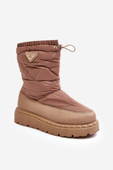 Women's snow boots on thick sole in dark beige Lureta 28724-21 цена и информация | Женские сапоги | pigu.lt