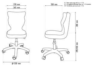 Ergonomiška vaikiška&amp;nbsp;kėdė Entelo Good Chair Petit ST31 4, spalvota цена и информация | Офисные кресла | pigu.lt