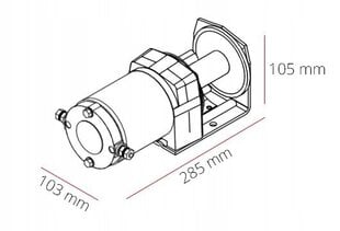 Elektrinė gervė Dragon DWM 2500 ST, 12V, 1133kg цена и информация | Автопринадлежности | pigu.lt