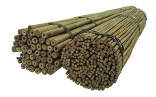 Палки бамбуковые 150 см 24/26 мм / 50 шт. / DEKOR цена и информация | Подставки для цветов, держатели для вазонов | pigu.lt