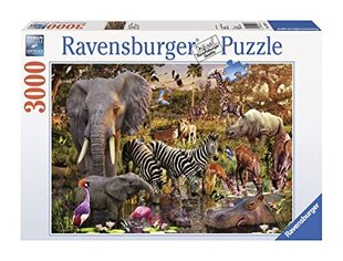 Ravensburger: 3000 dalių dėlionė Afrikos gyvūnai kaina ir informacija | Dėlionės (puzzle) | pigu.lt